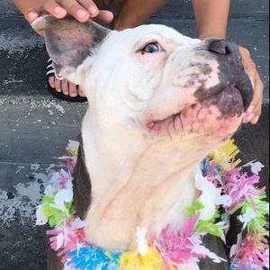 Meet your Posher, Eva